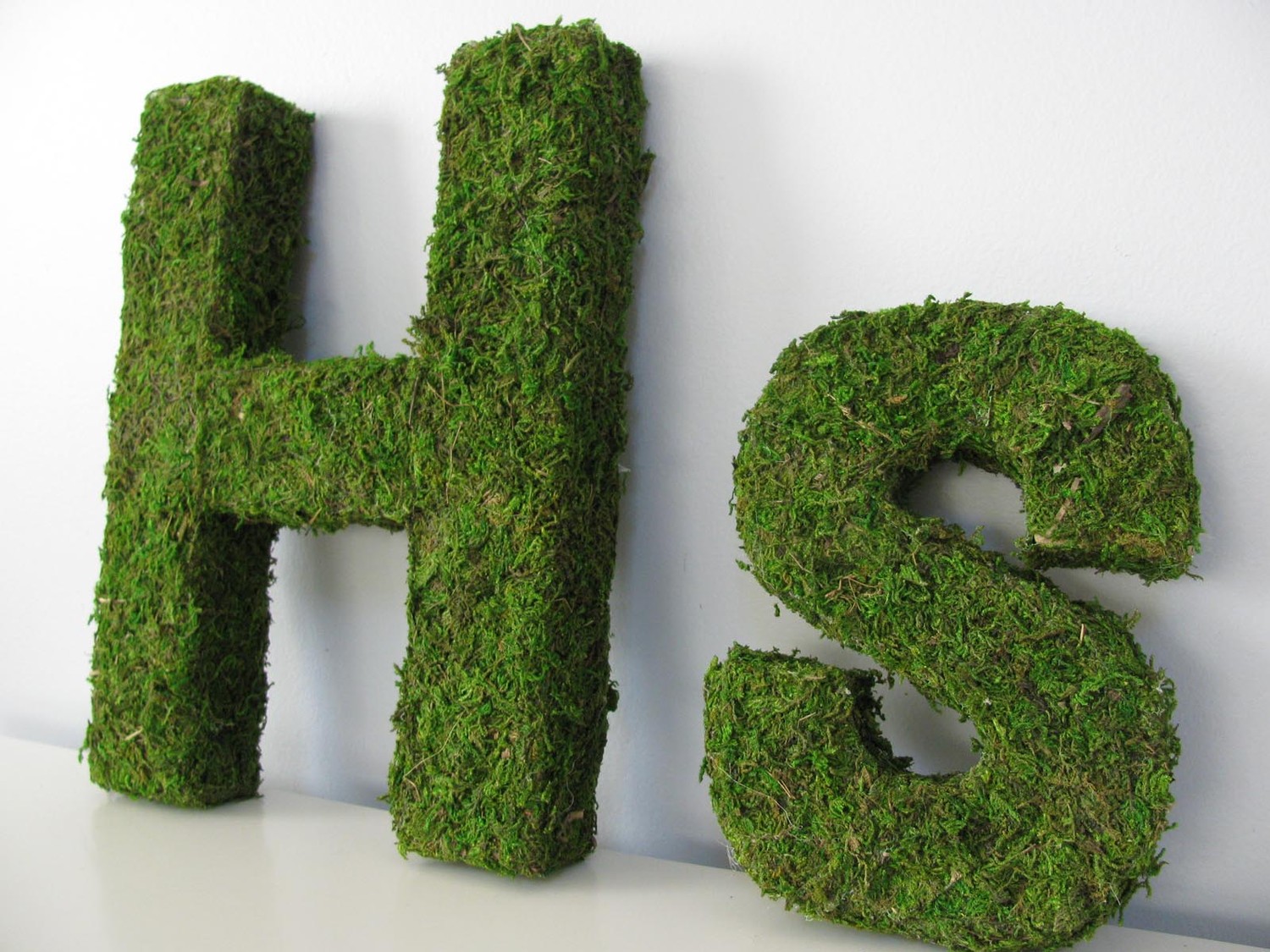 Moss Covered Monogram Letter Heartfish Blog